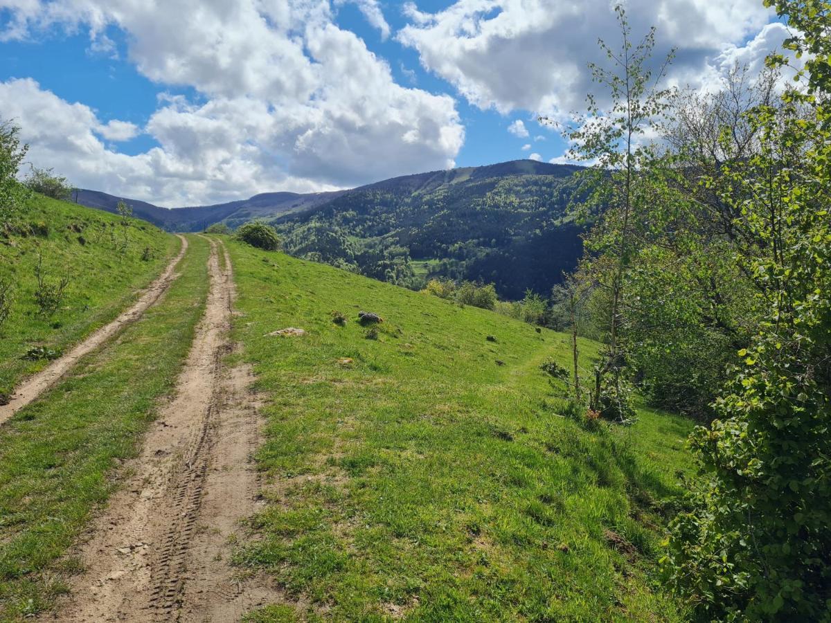 Spacieux Et Confortables Gites A Proximite Randonnees, Lacs, Ski Nature Sondernach Eksteriør bilde