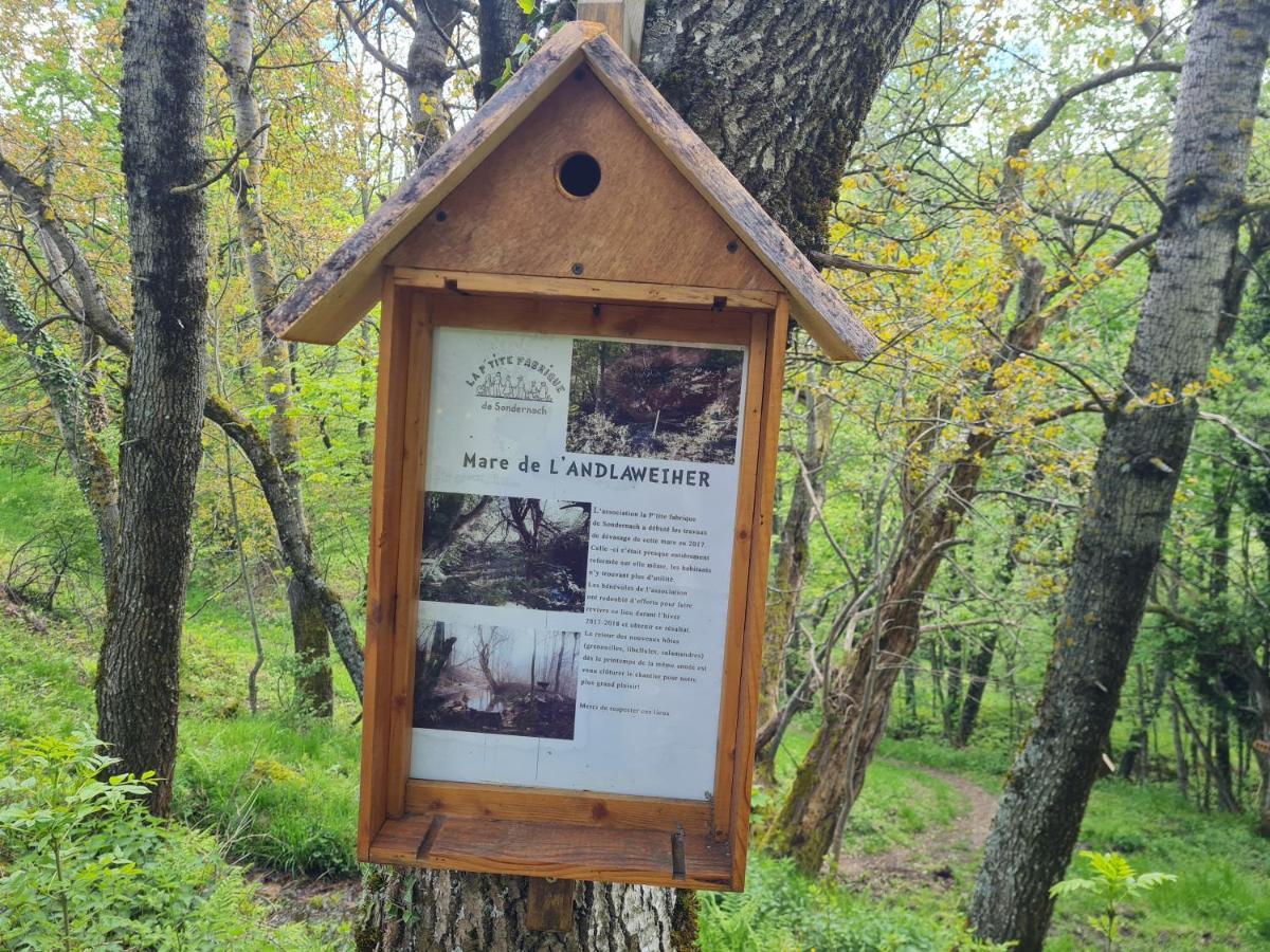 Spacieux Et Confortables Gites A Proximite Randonnees, Lacs, Ski Nature Sondernach Eksteriør bilde