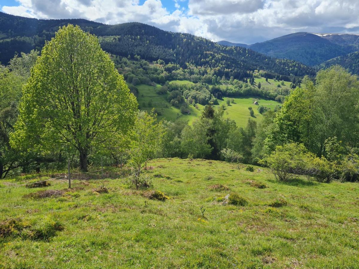 Spacieux Et Confortables Gites A Proximite Randonnees, Lacs, Ski Nature Sondernach Eksteriør bilde