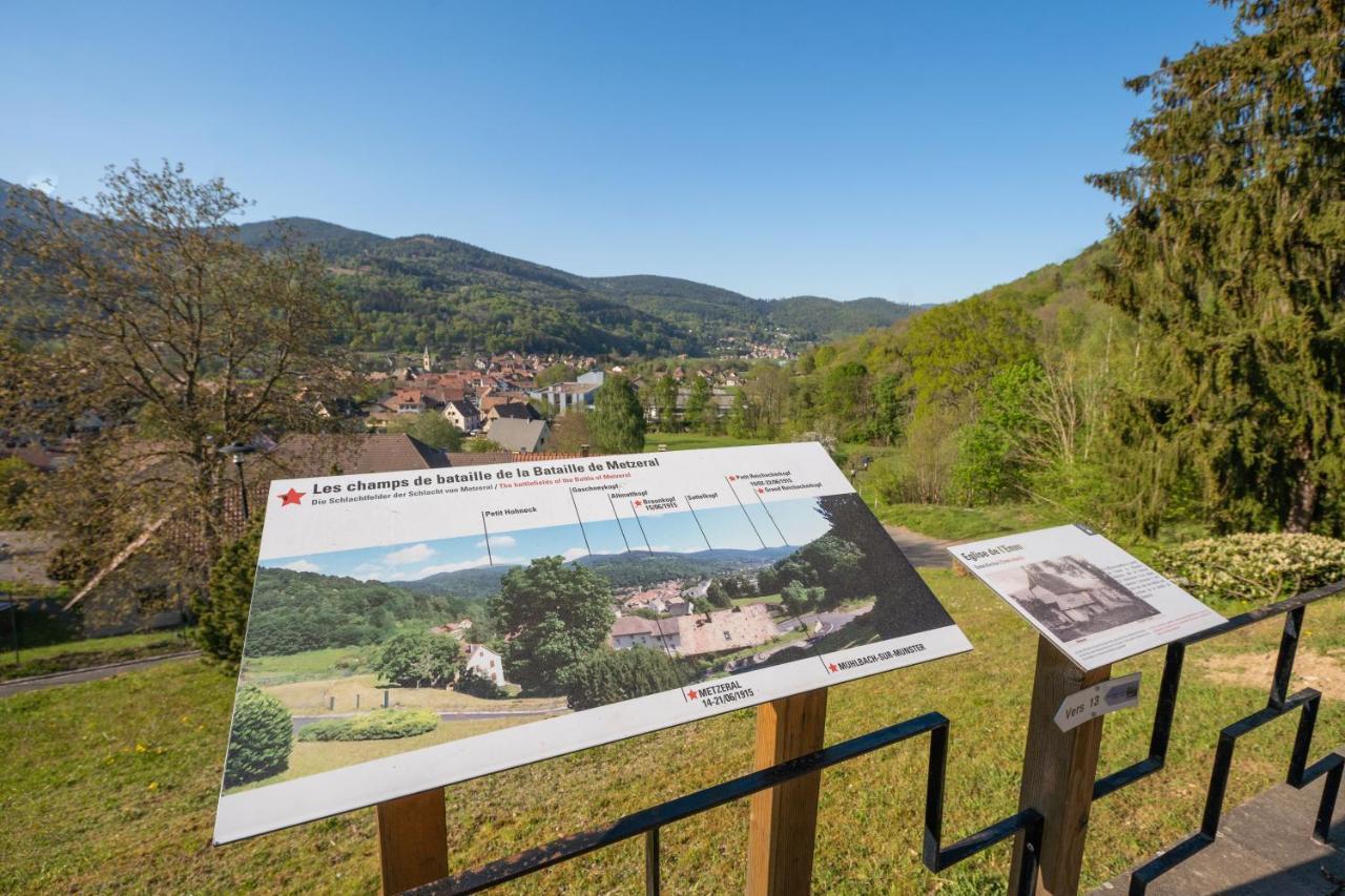 Spacieux Et Confortables Gites A Proximite Randonnees, Lacs, Ski Nature Sondernach Eksteriør bilde