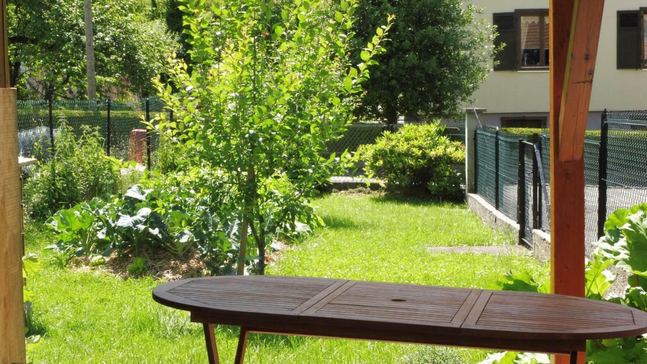 Spacieux Et Confortables Gites A Proximite Randonnees, Lacs, Ski Nature Sondernach Eksteriør bilde