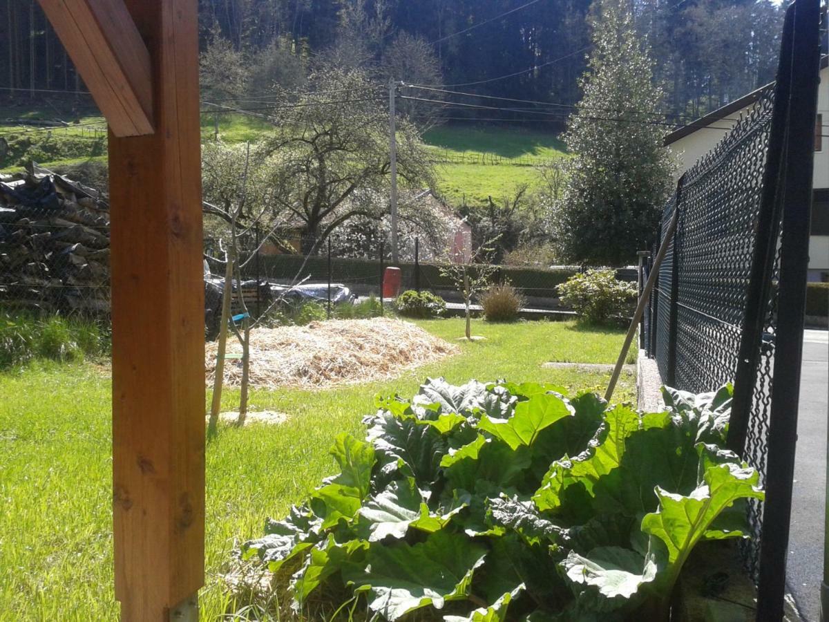 Spacieux Et Confortables Gites A Proximite Randonnees, Lacs, Ski Nature Sondernach Eksteriør bilde