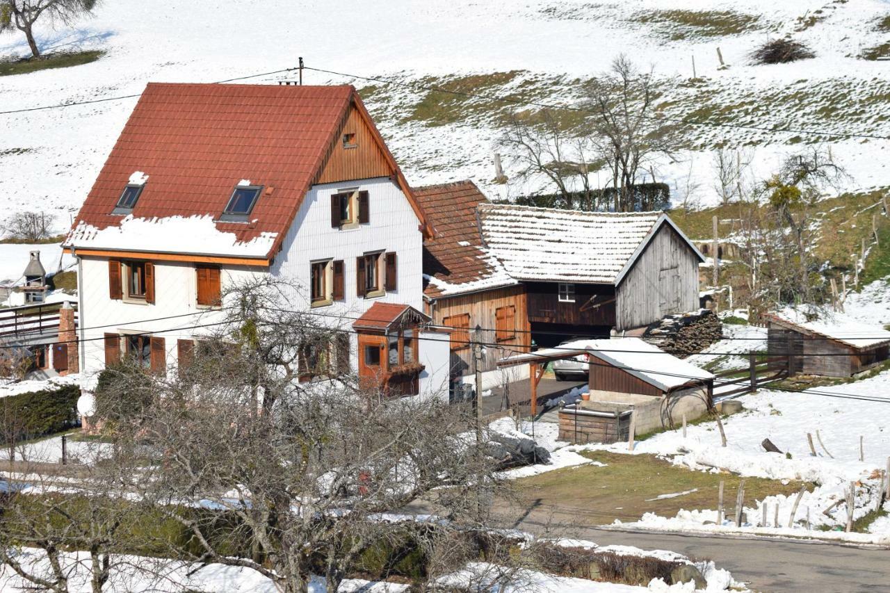 Spacieux Et Confortables Gites A Proximite Randonnees, Lacs, Ski Nature Sondernach Eksteriør bilde