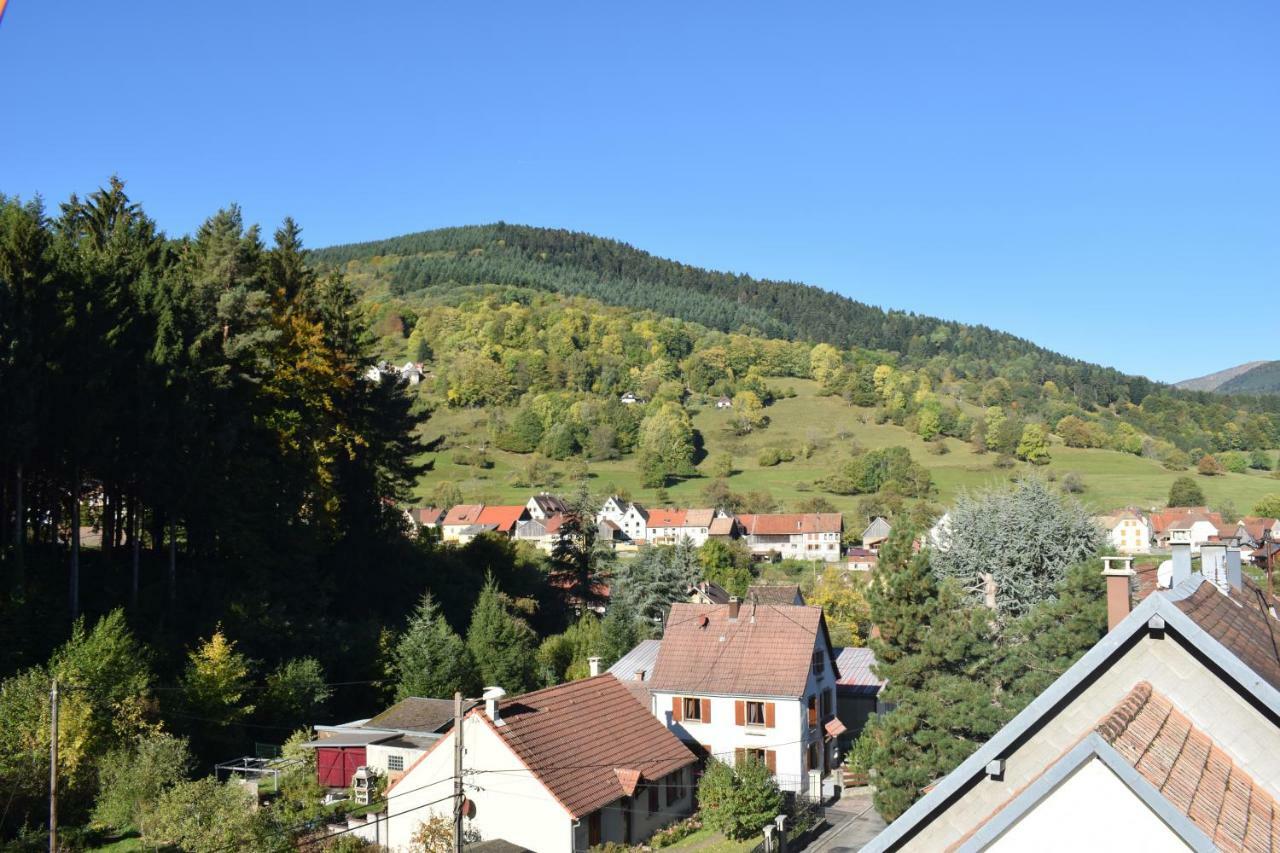Spacieux Et Confortables Gites A Proximite Randonnees, Lacs, Ski Nature Sondernach Eksteriør bilde