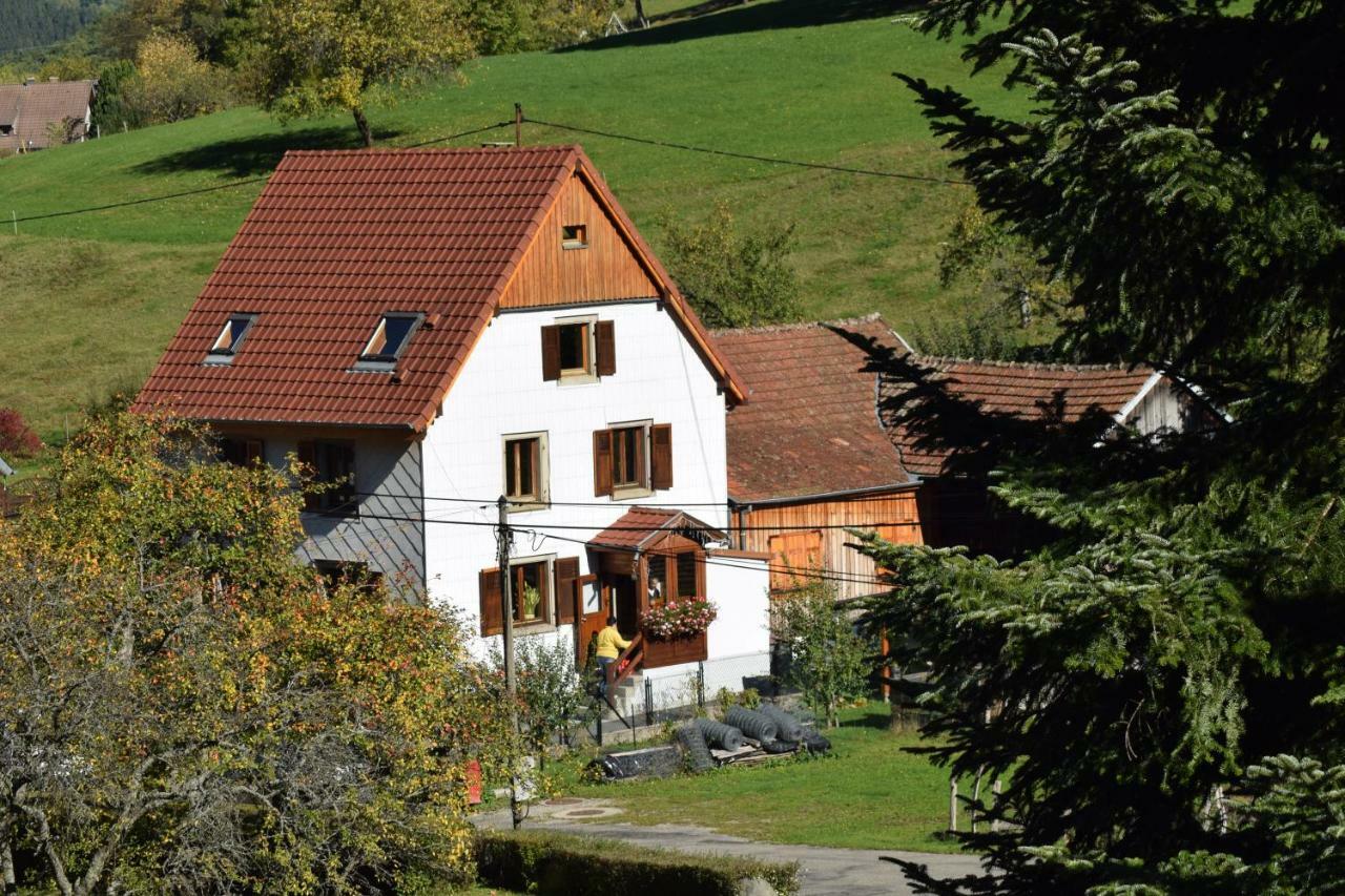 Spacieux Et Confortables Gites A Proximite Randonnees, Lacs, Ski Nature Sondernach Eksteriør bilde