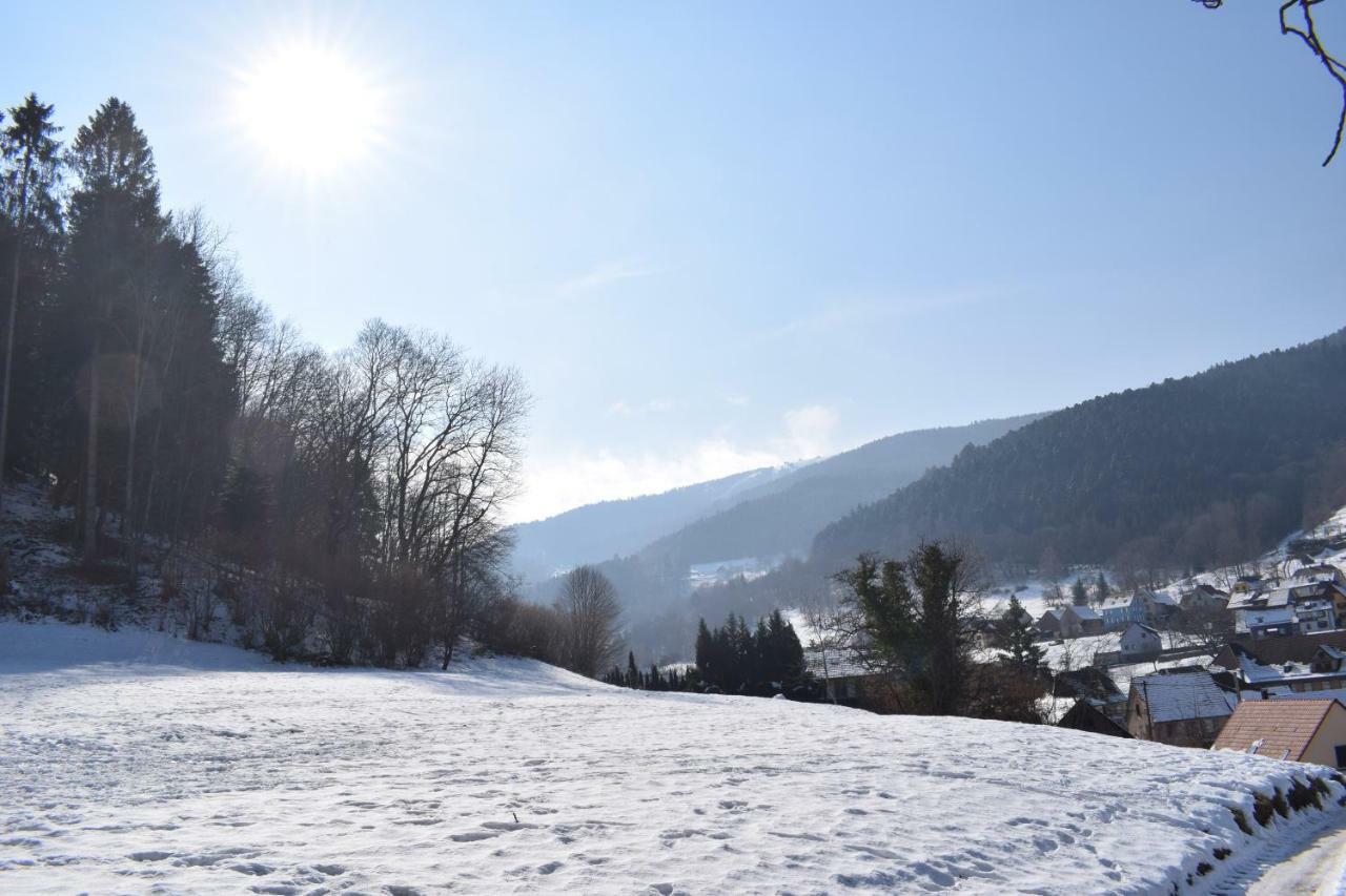 Spacieux Et Confortables Gites A Proximite Randonnees, Lacs, Ski Nature Sondernach Eksteriør bilde